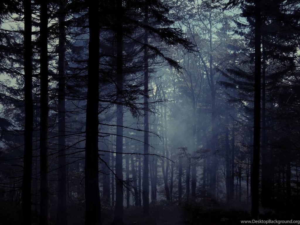 Old Misty Forest III By Topielica666 On DeviantArt