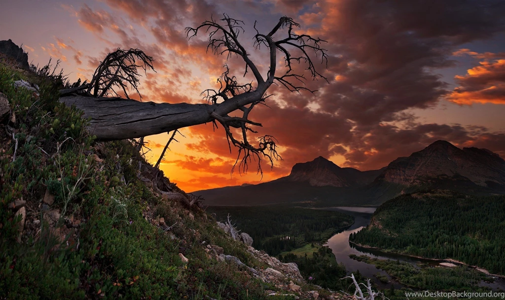 Sunset Mountains Trees Landscape Park Montana Glacier Glacier ...