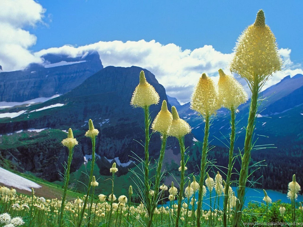 Glacier National Park (id: 103507) – BUZZERG