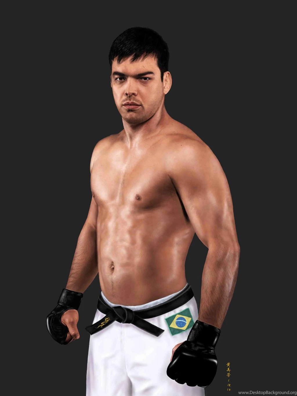 WWE Fighter Lyoto Machida
