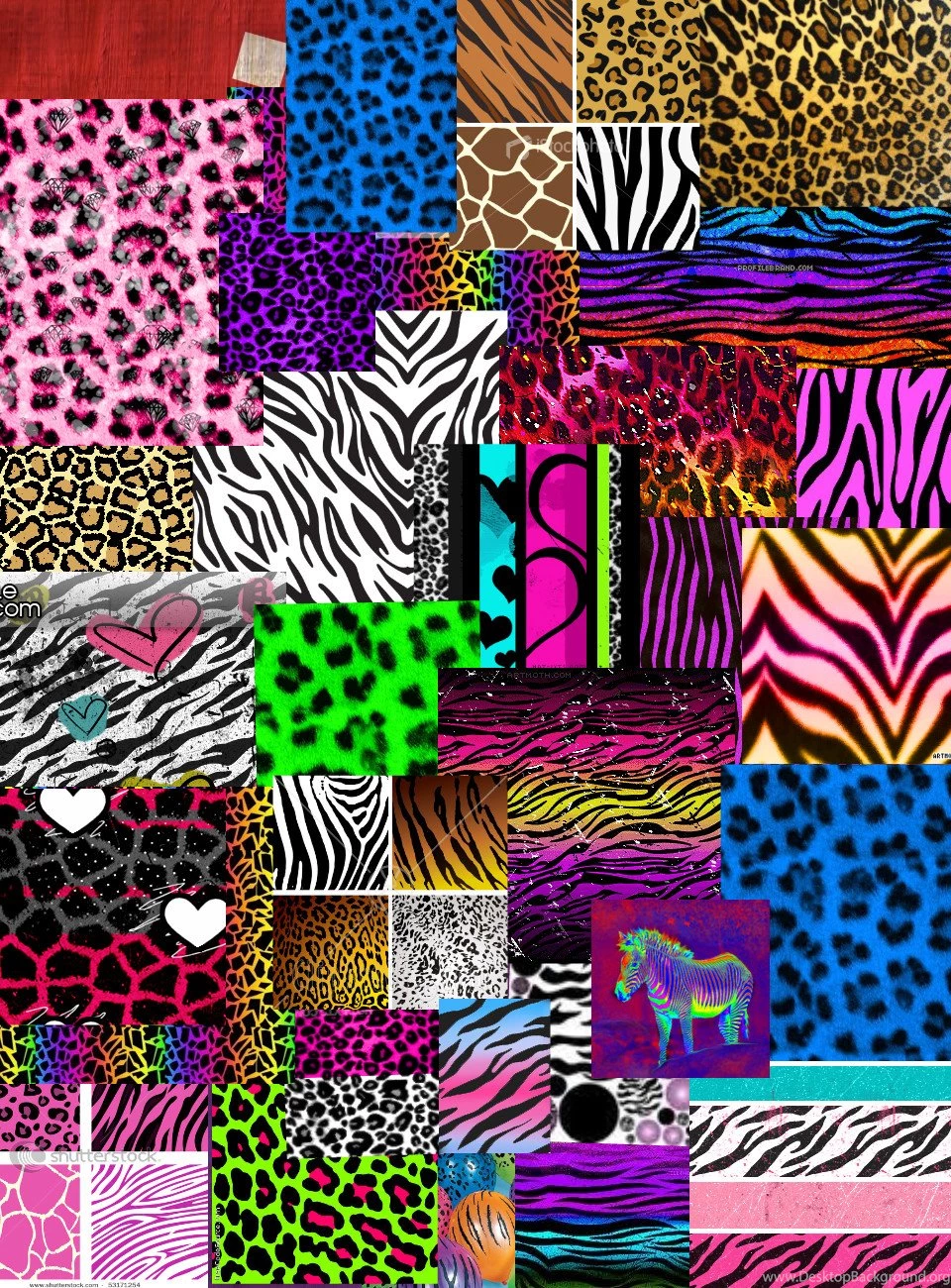 Rainbow Cheetah Print Wallpapers Wallpapers Zone
