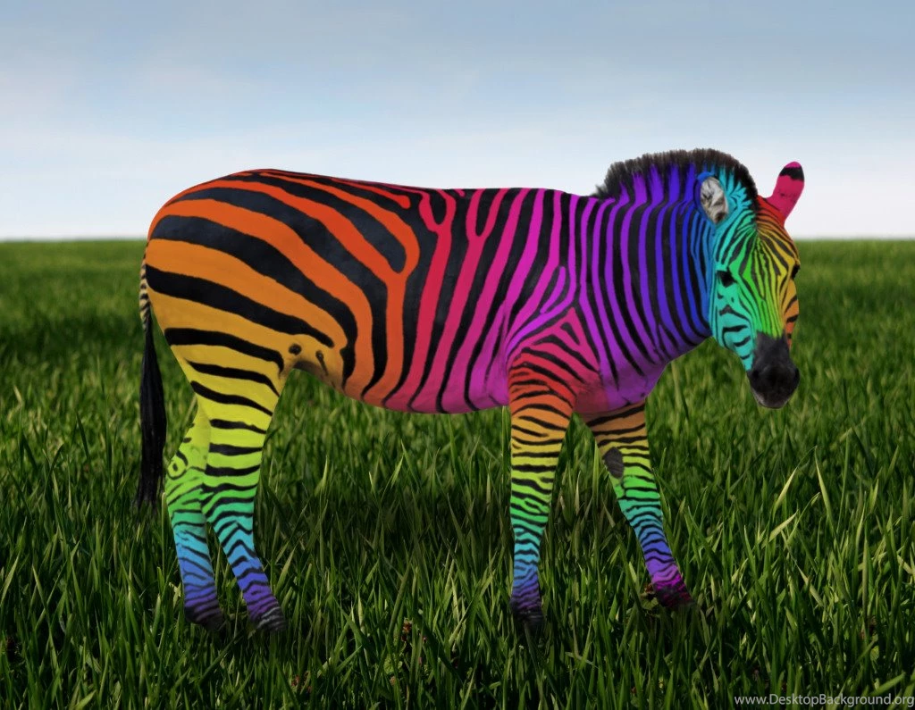 Zebra Print Wallpapers Rainbow Zebra Print Rainbow . H Ibackgroundz ...