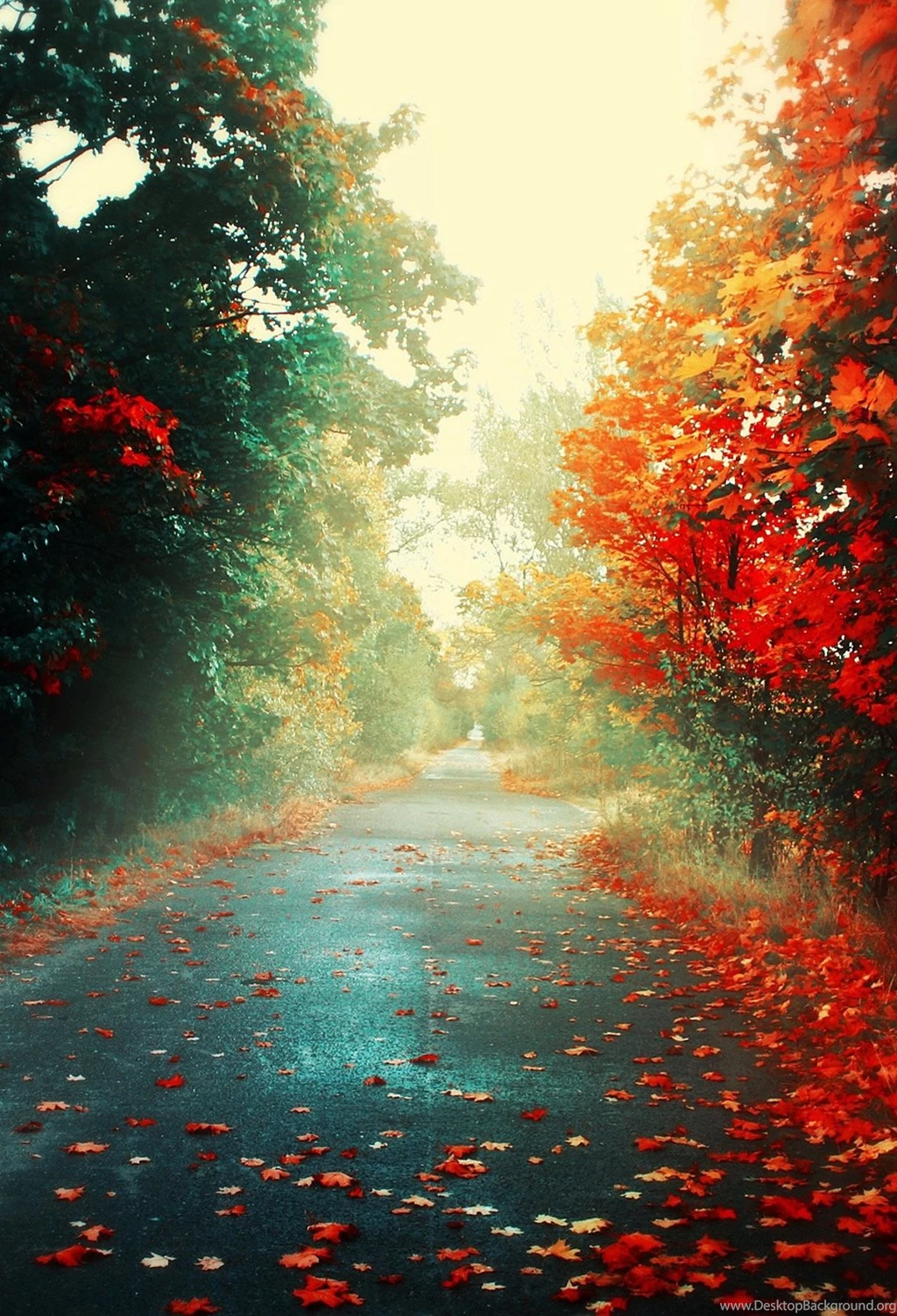 ParallaxWallpapers.net