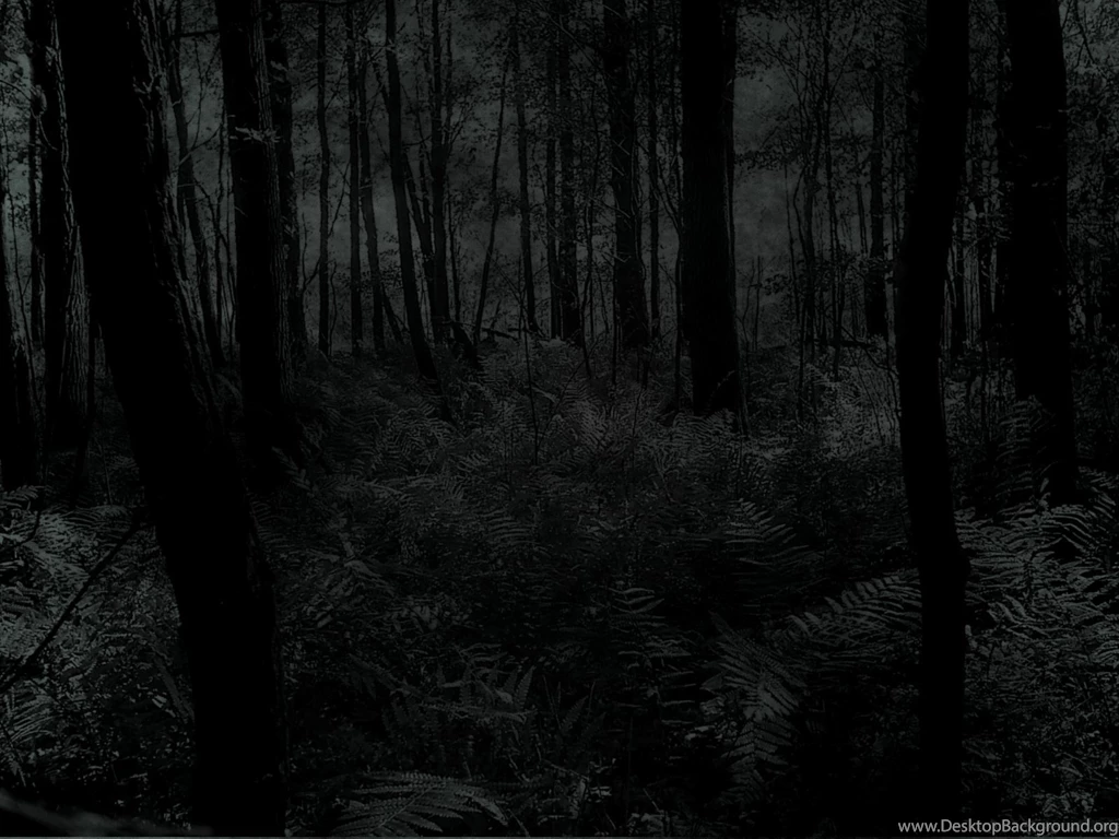 Top Figure In The Woods Wallpapers