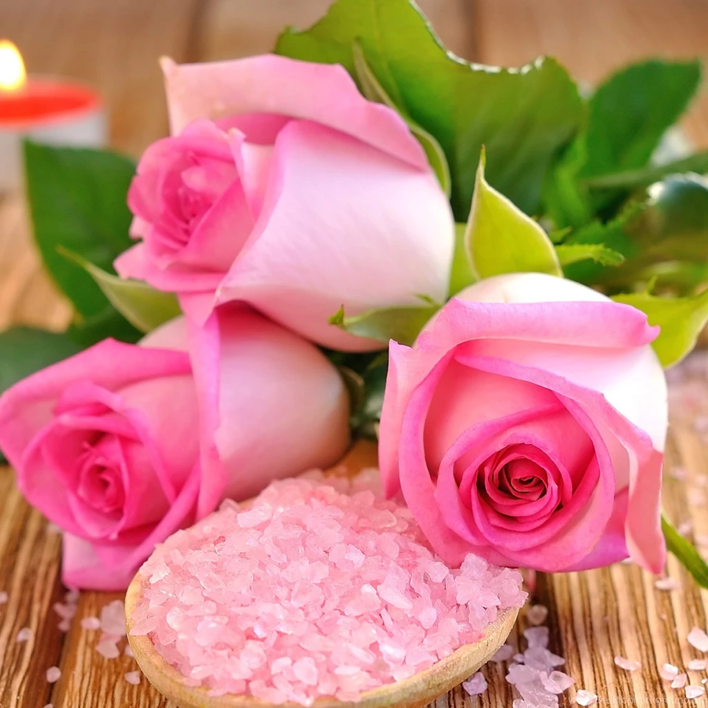 New iPad Air, 4, 3, iPad Mini Retina Rose Wallpapers HD, Desktop ...