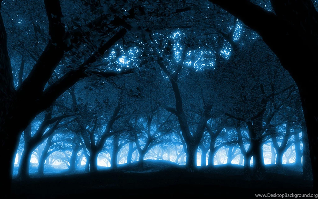 Mystical Forest Blue Light Effect 1680x1050 Wallpapers