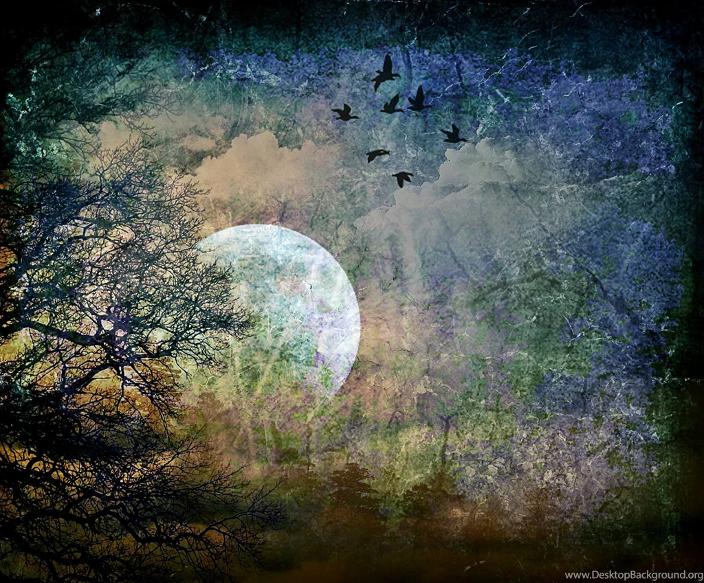 Mystical Forest