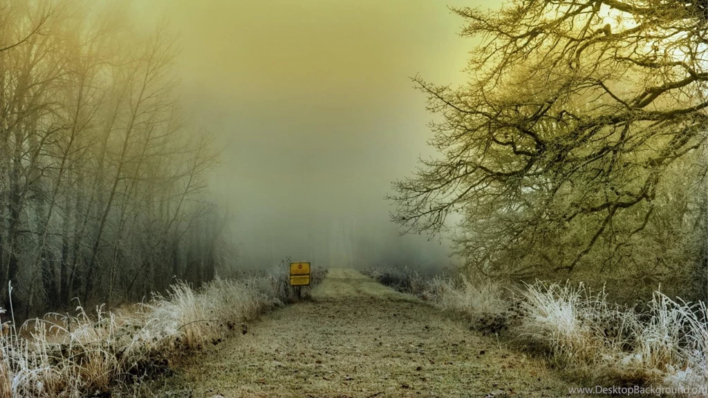 GO INTO THE MYSTICAL FOREST AT YOUR OWN RISK WALLPAPER (
