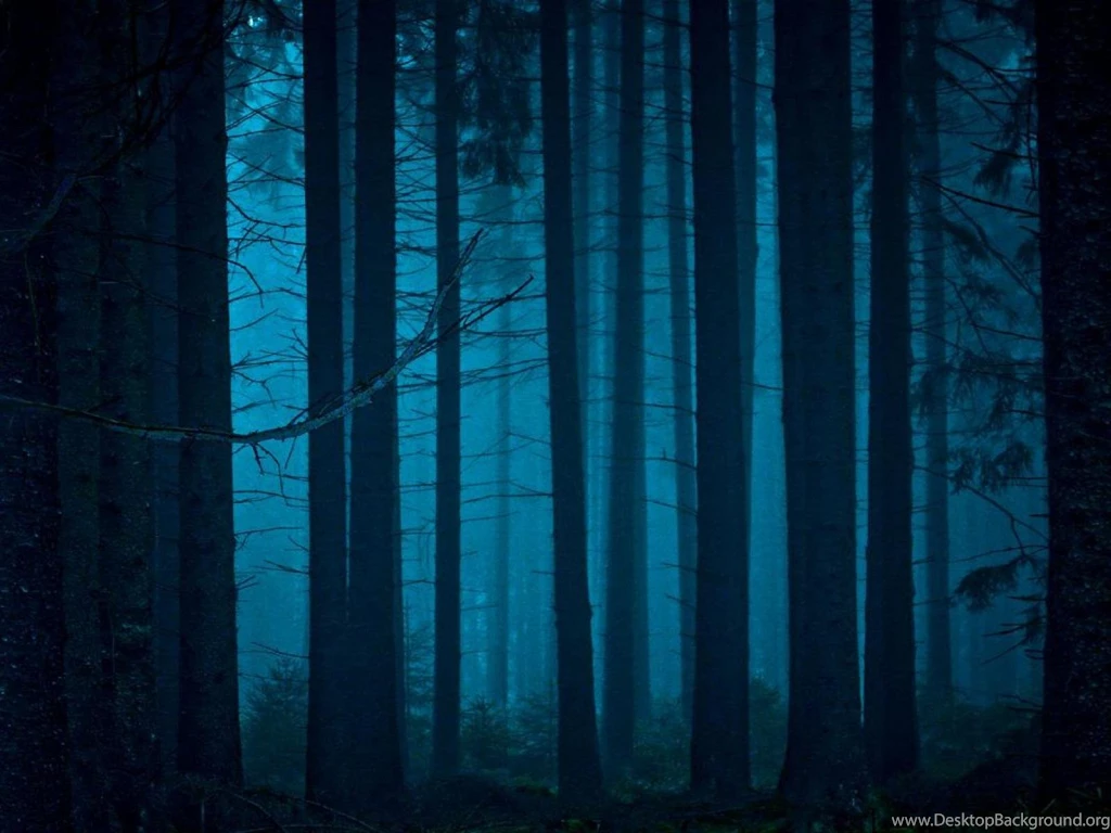 Mystical Forest