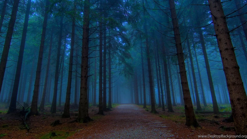 Wallpapers Mystical Forests Forest Path 1366x768