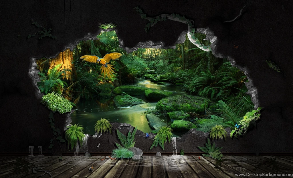 The Forest Wallpaper Backgrounds
