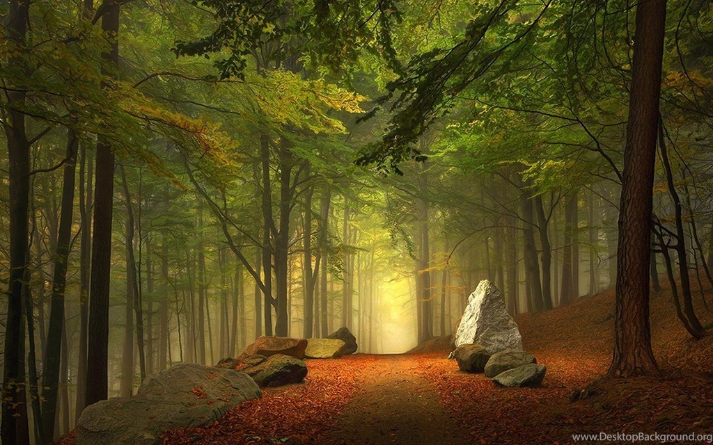 Forests: Mystical Forest Autumn Path Boulders Mist Wallpapers ...