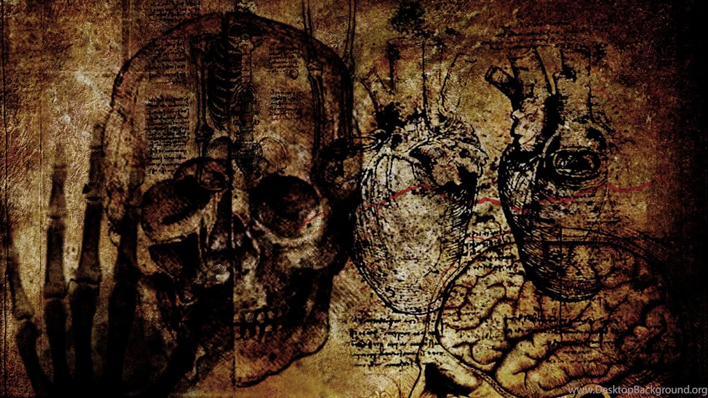 Medical Wallpapers Related Keywords & Suggestions Medical ...