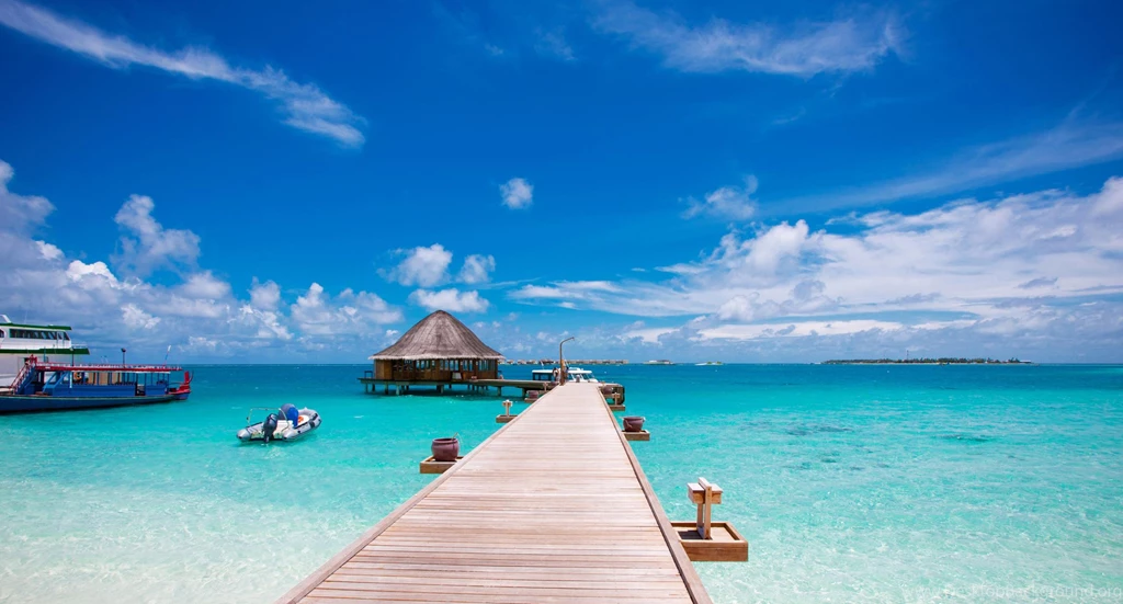 Paradise