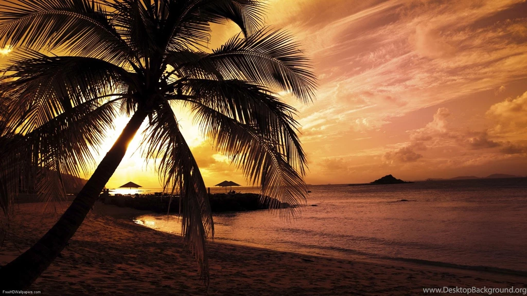 Beach Paradise Wallpapers Wallpapers Cave