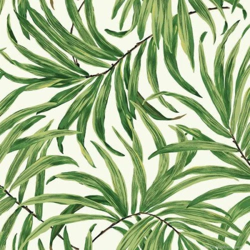 Palm Leaf Wallpapers