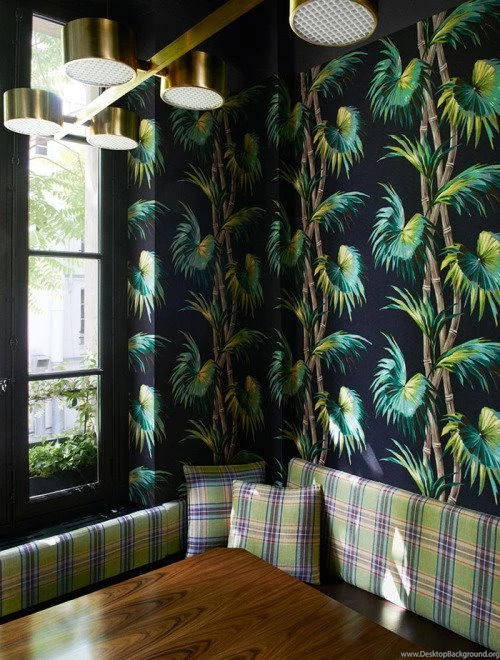 Palm Leaf Wallpapers