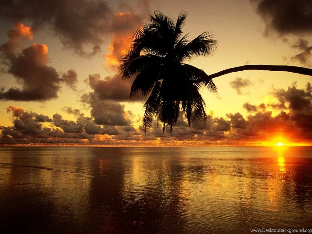 Wallpapers Pink Cheetah Print Nature Landscape Oct During A Sunset ...