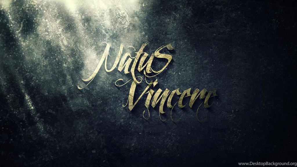 Download Wallpapers 1920x1080 Natus Vincere, Dota, Cs, Wot, Cyber ...