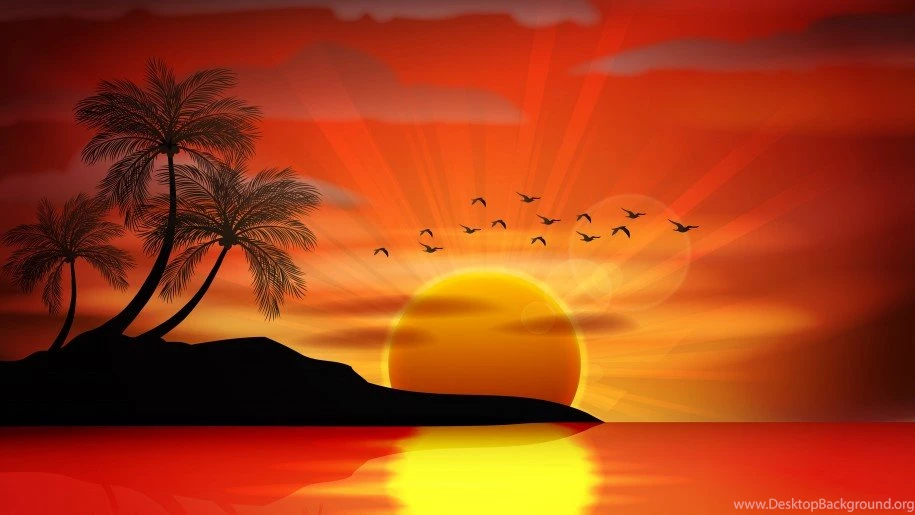 Sunset Sea Paradise Tropical Island Palms Silhouette Birds Sea ...