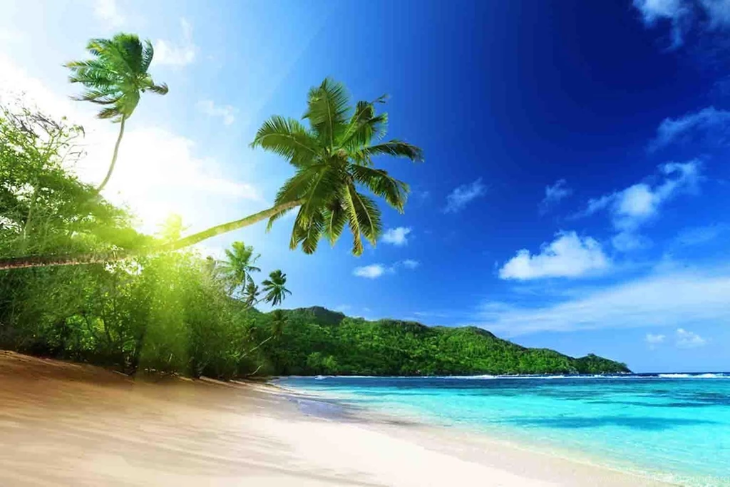 Paradise Wallpapers Android Apps And Tests AndroidPIT