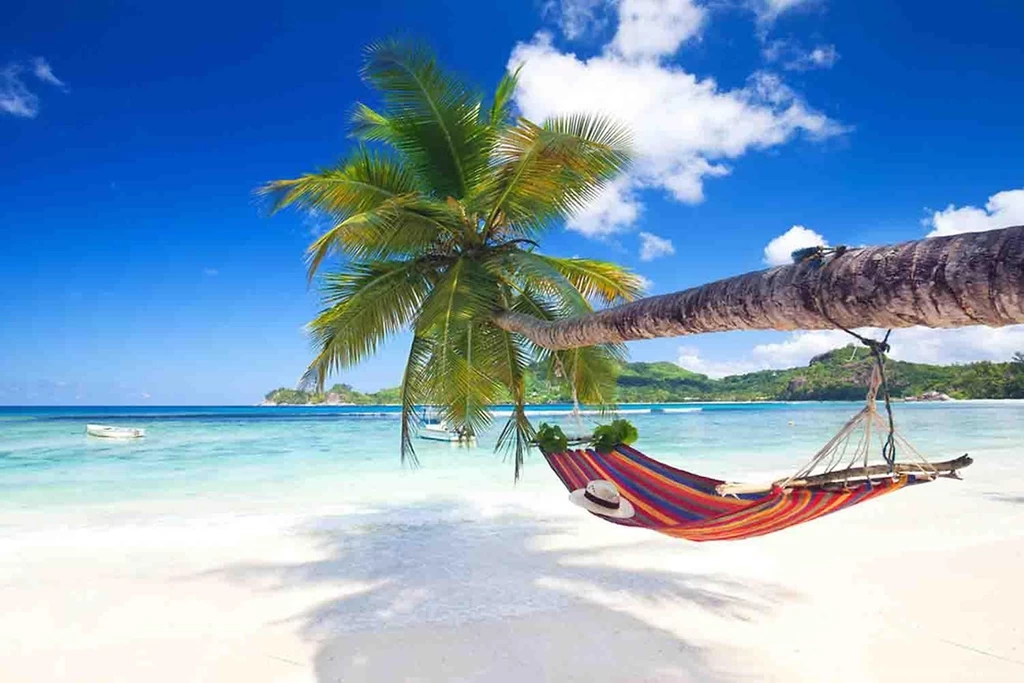 Paradise Wallpapers Android Apps And Tests AndroidPIT