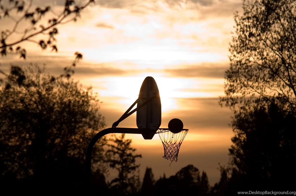 Summer Ball By Bryan Terry