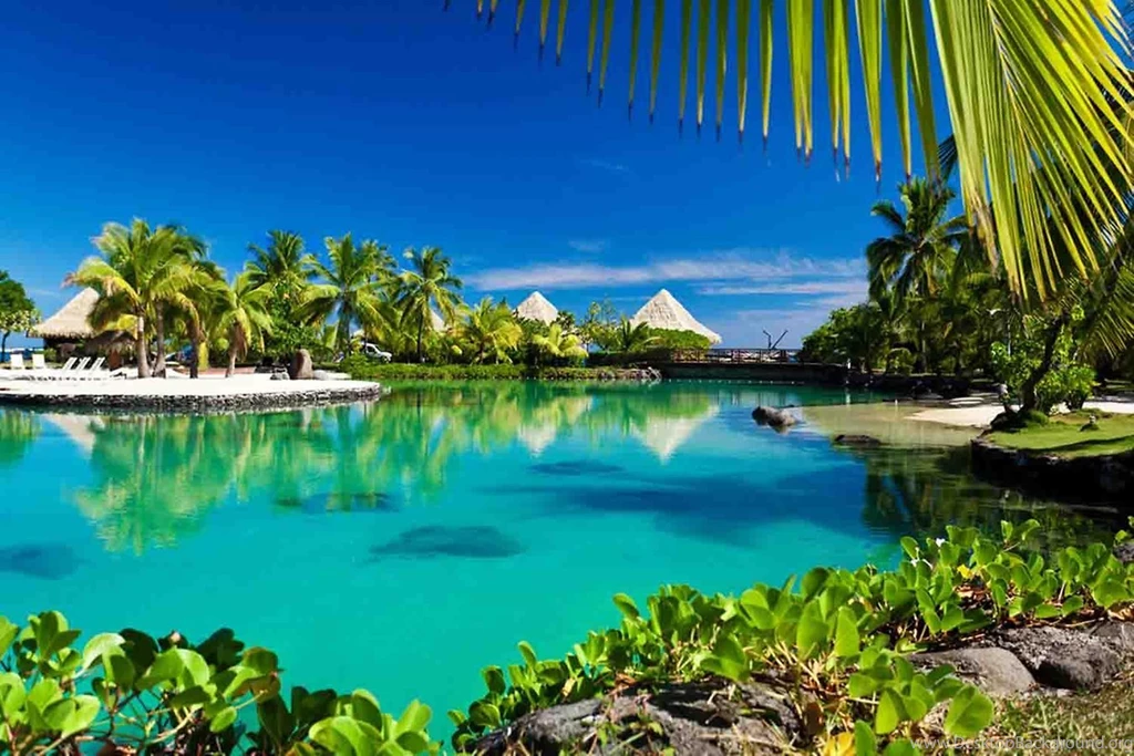 Paradise Wallpapers Android Apps And Tests AndroidPIT