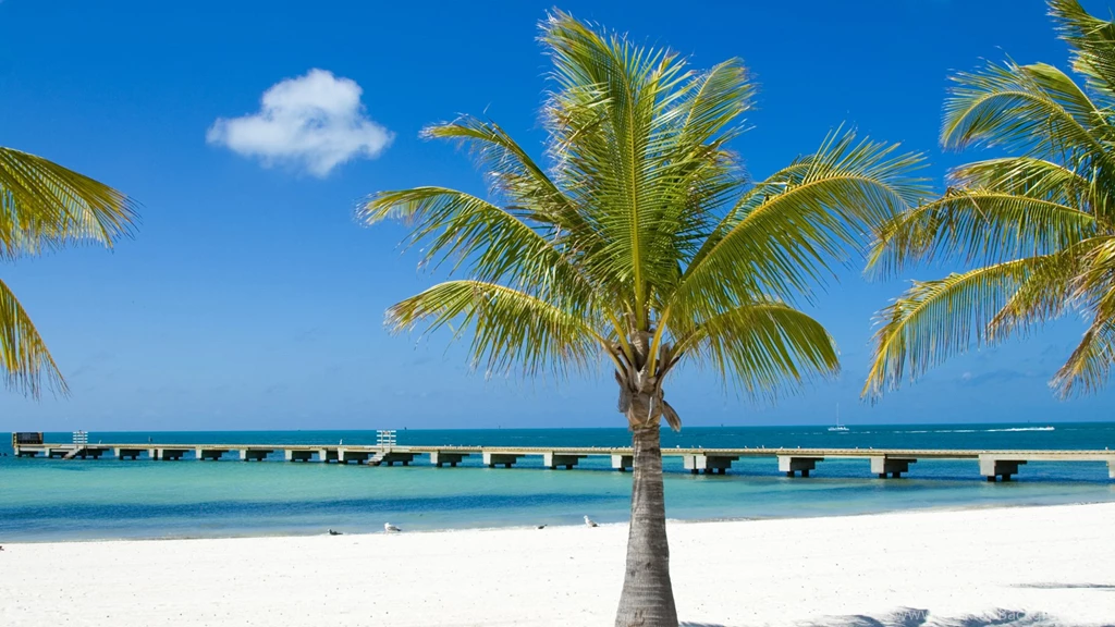 Road Trip: Florida Social Road Trips