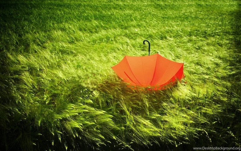 Green,orange Green Orange Grass Umbrellas 2560x1600 Wallpapers ...
