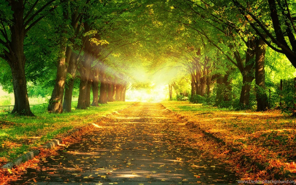 Cool Backgrounds Hd Ce56 Image DM