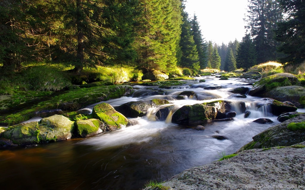 Mountain Stream Wallpapers HD