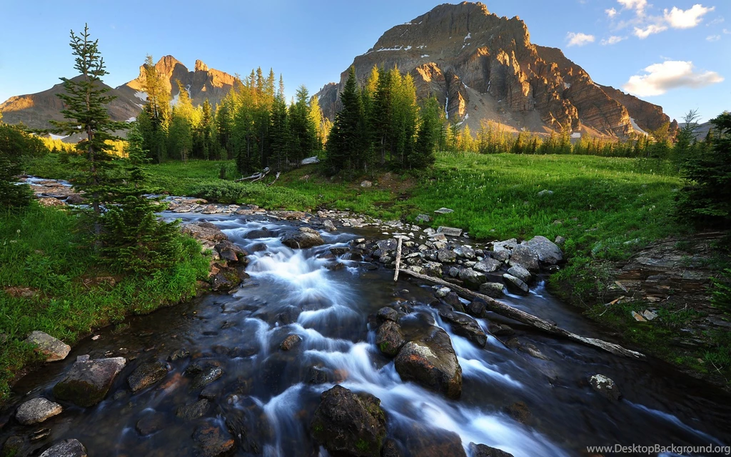 Mountain Stream