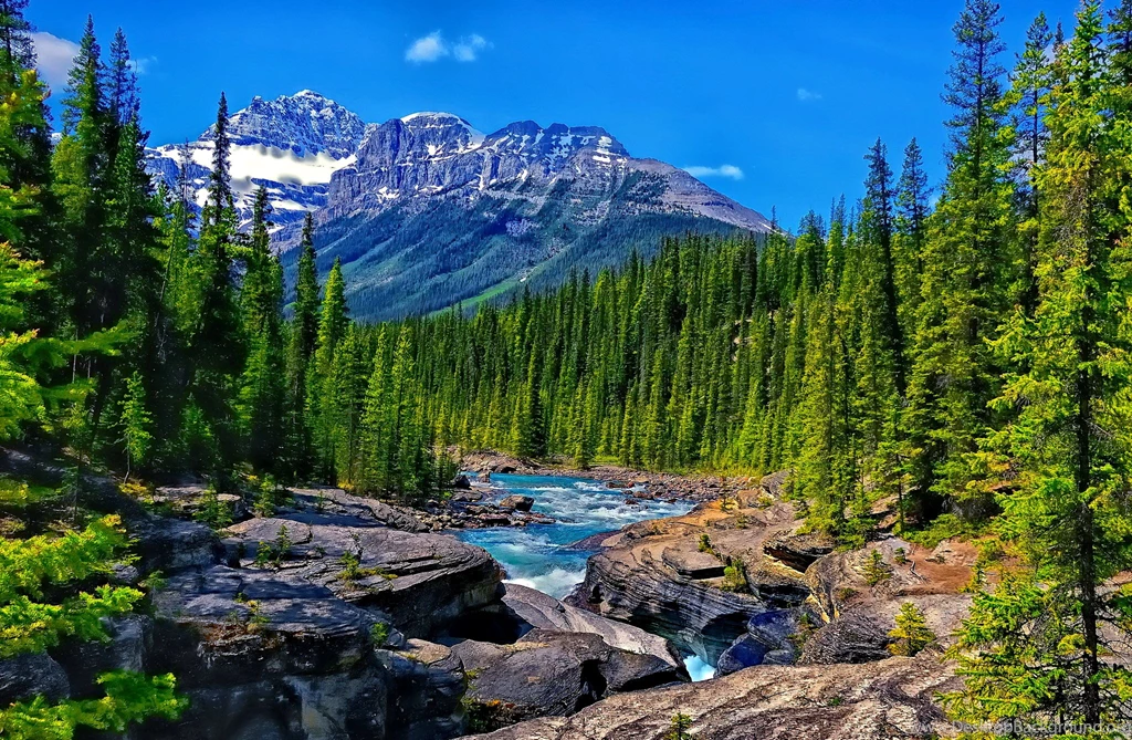Mountain Stream Wallpapers