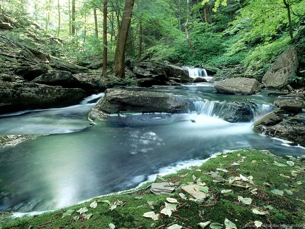 Desktop Wallpapers · Gallery · Nature · Rapid Mountain Stream ...