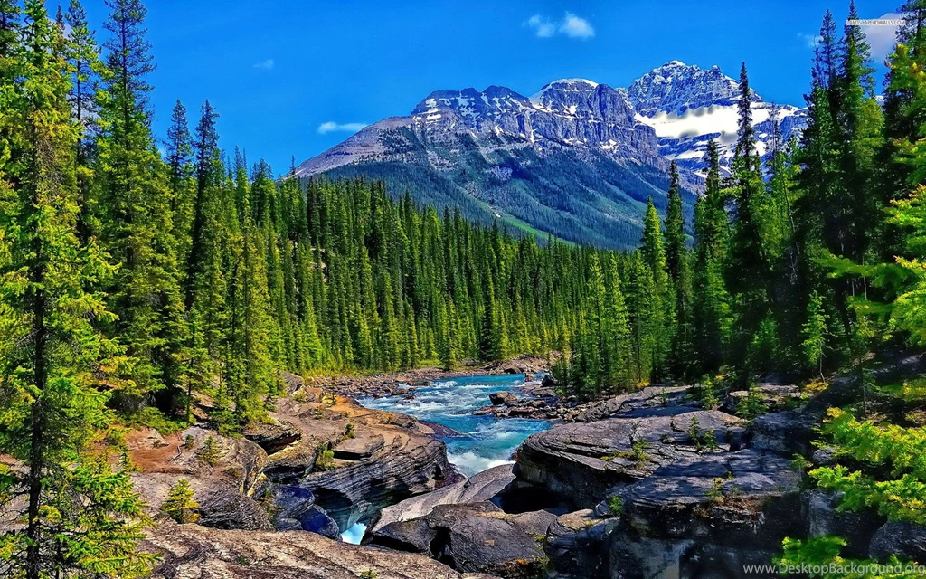 Mountain Stream HD Images 10296 Pacify Mind