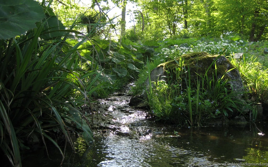 Small And Medium sized Mountain Stream Of Wild Flowers And Weeds ...