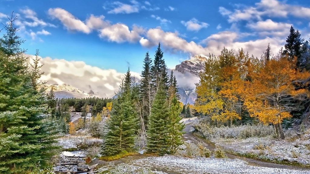 Wonderful Mountain Stream Landscape Hdr Wallpapers