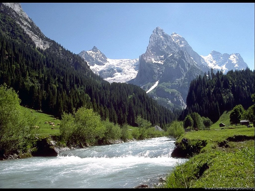 My Free Wallpapers Nature Wallpapers : Mountain Stream