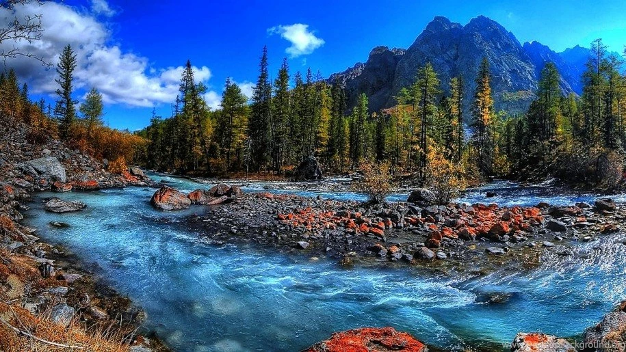 Fresh Water Stream Mountain Rapid Running 2560x1440 Hd Wallpapers ...