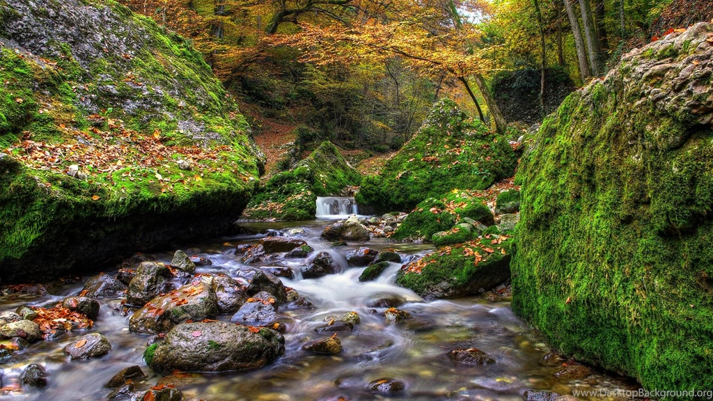 Wonderful Mountain Stream In Autumn (