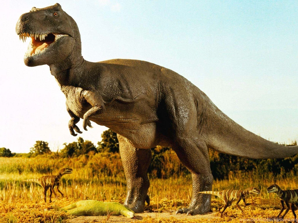 Dinosaur New HD Wallpapers 2013