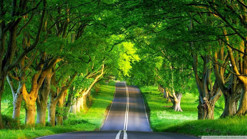 Nature Wallpapers HD