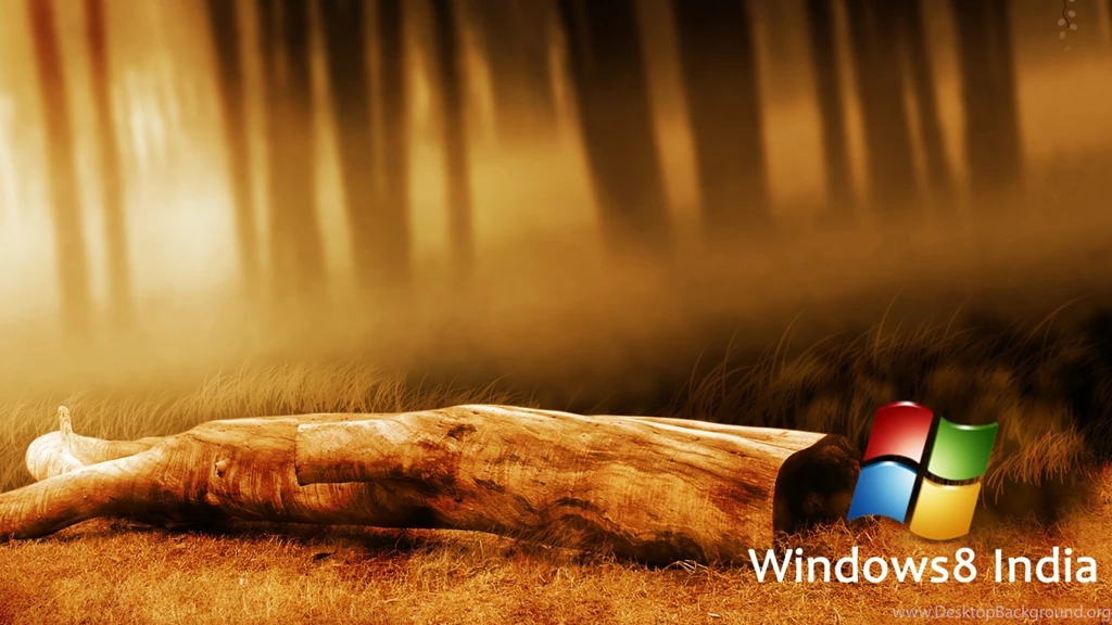 Windows8 Super Fine Desktop Wallpapers
