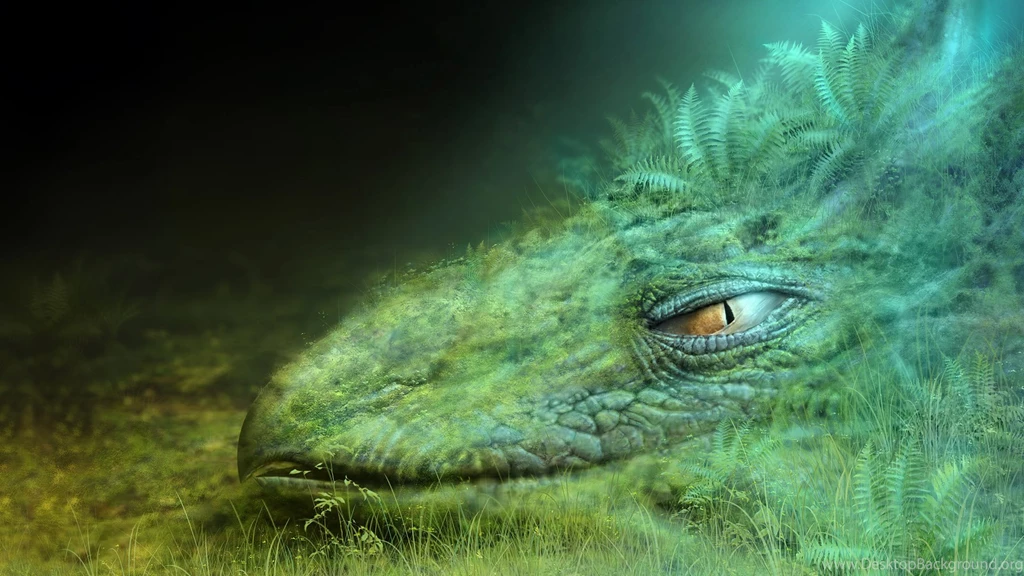 Fine Art HD Wallpapers 1920x1080 (124) Hebus.org High ...