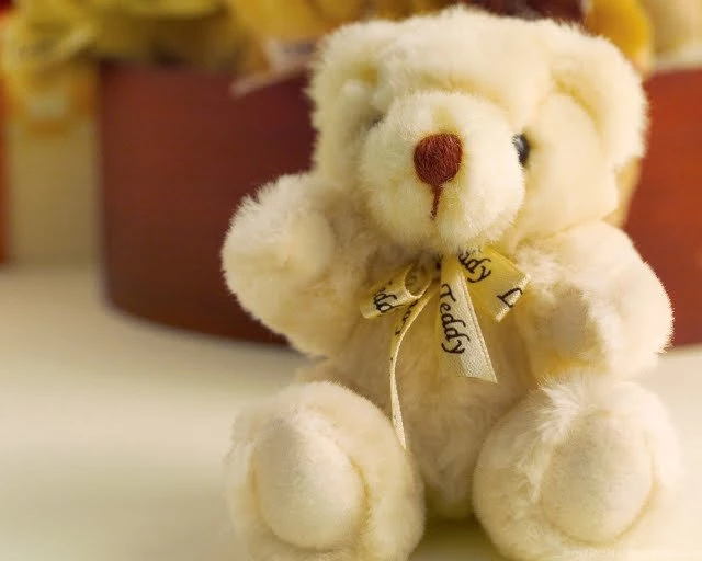 New Nature Screensaver: Free Teddy Bear Screensaver