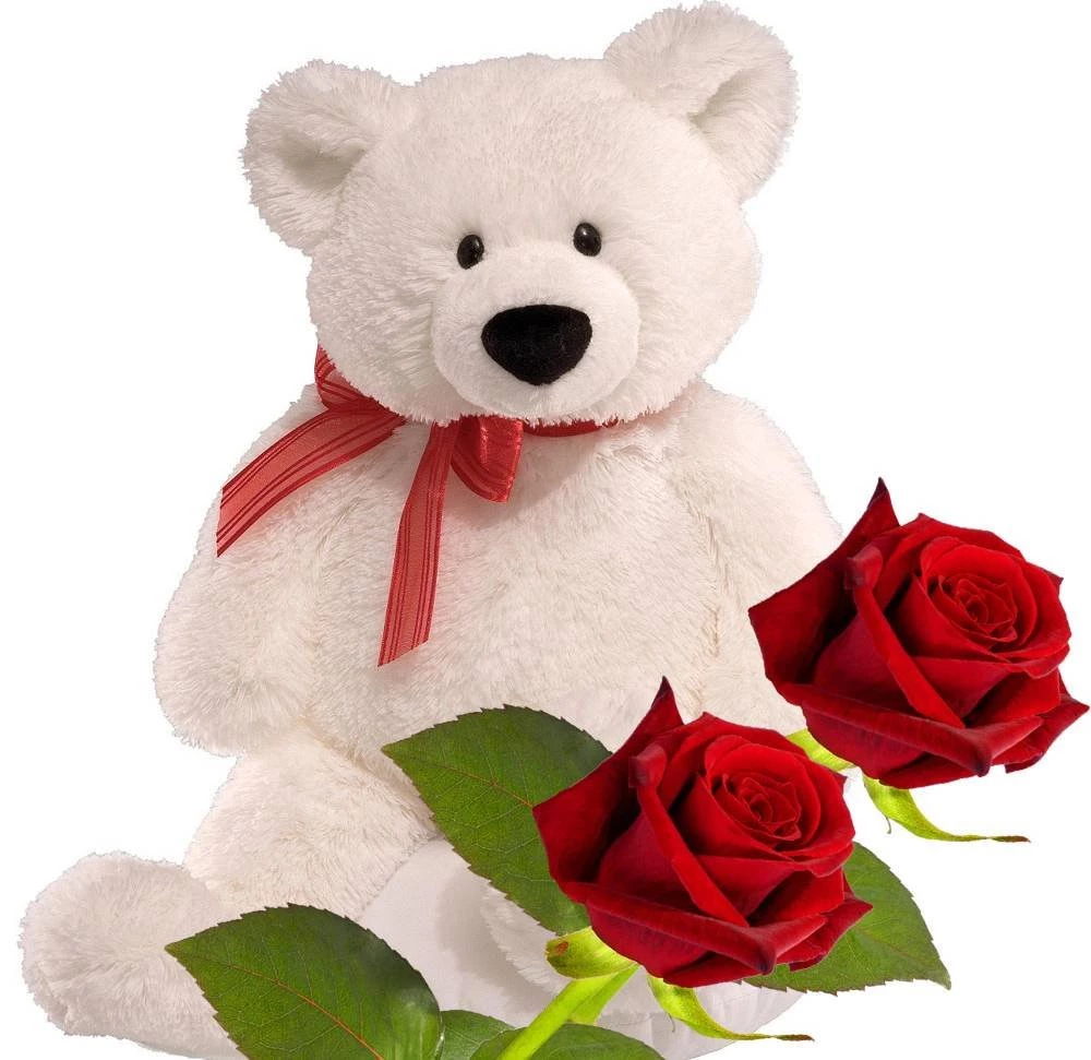 Loving Teddy Bear HD Wallpapers Free Download For Desktop