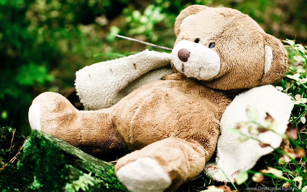 Teddy Bear Toy Theme Photography Wallpaper: Green Grass - Other ...