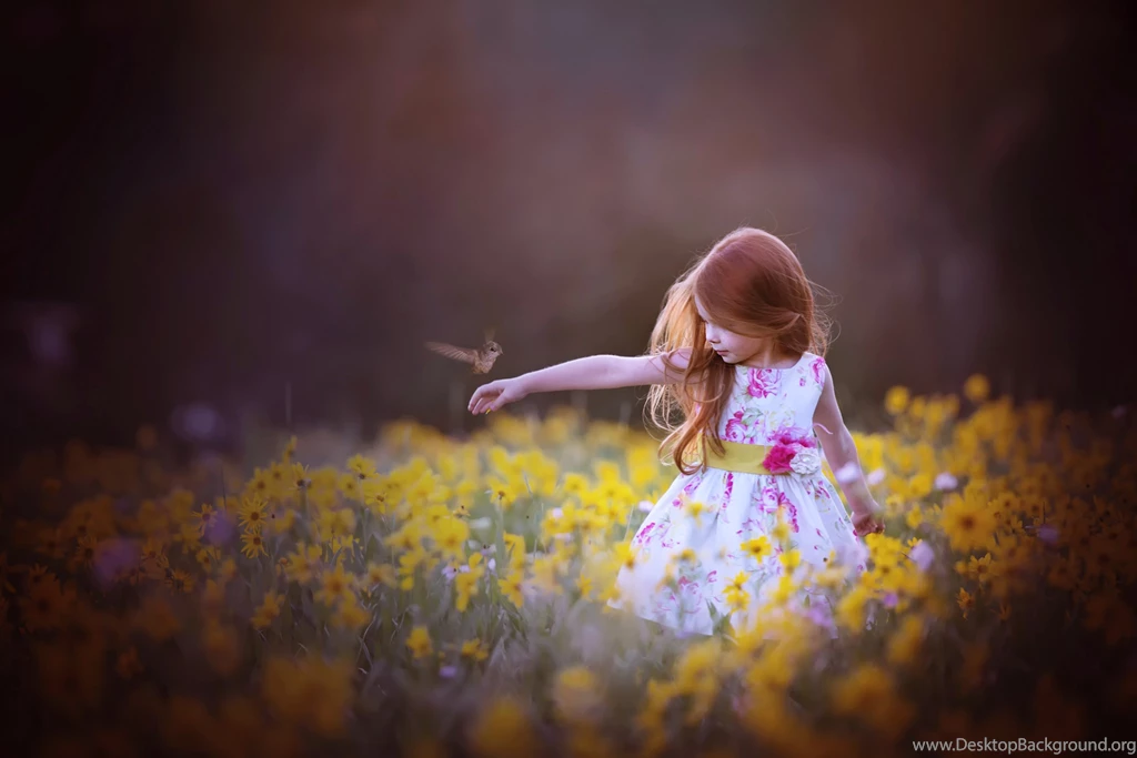 Little, Princess, Widescreen, High, Definition, Desktop, Wallpapers ...