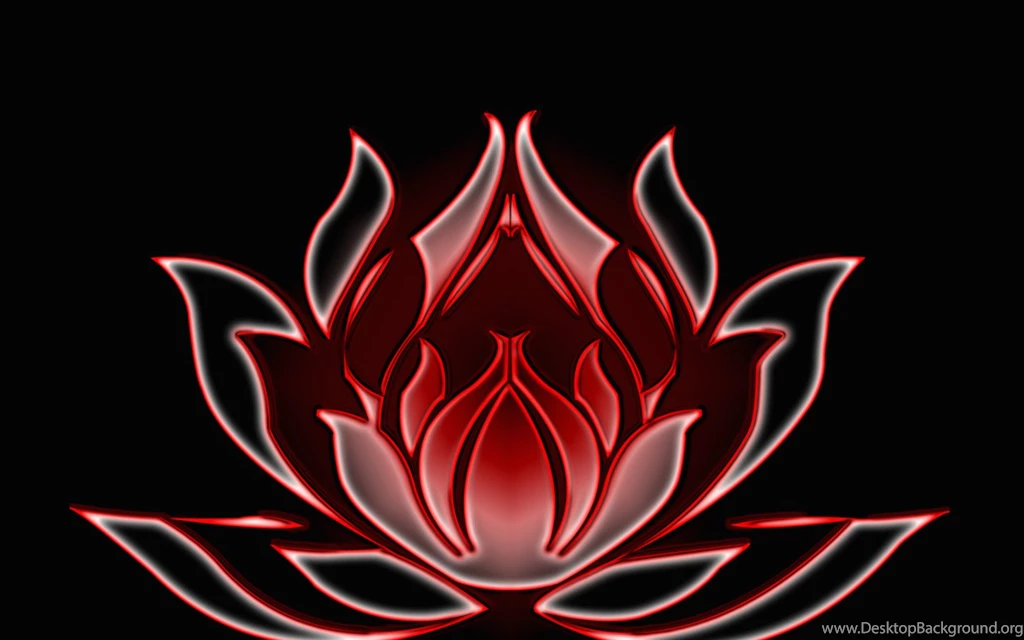 Neon Widescreen Wallpapers HQ 1440x900 Photo 48 Of 51